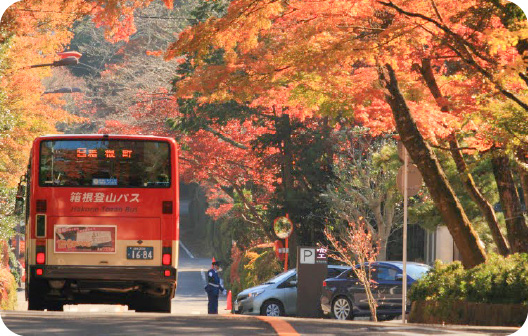 Hakone tour bus