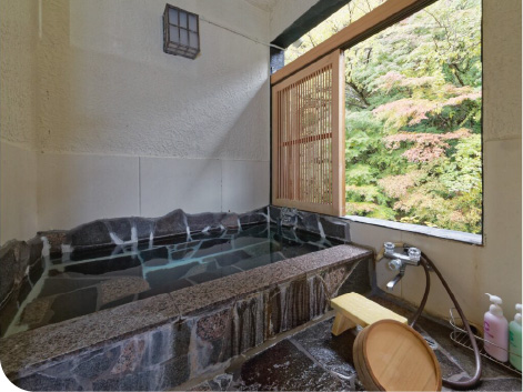 Tonosawa Ichinoyu Honkan Onsen
