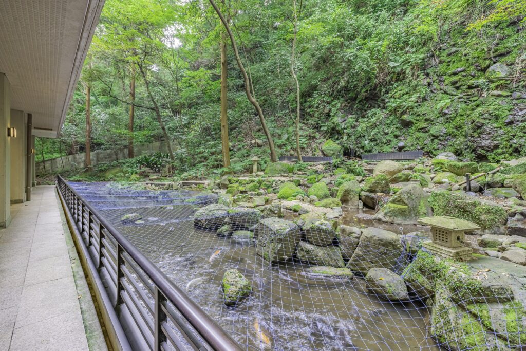 箱根路開雲