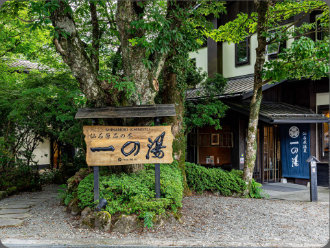 仙石原品の木一の湯本棟