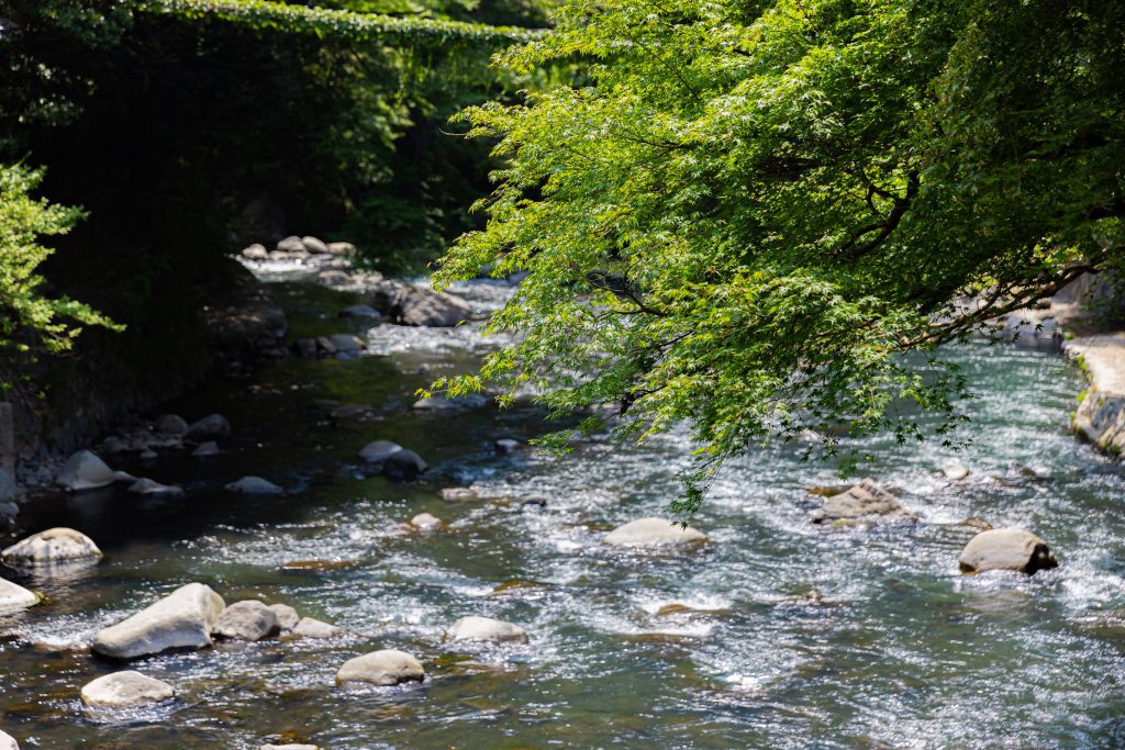 塔ノ沢一の湯 本館