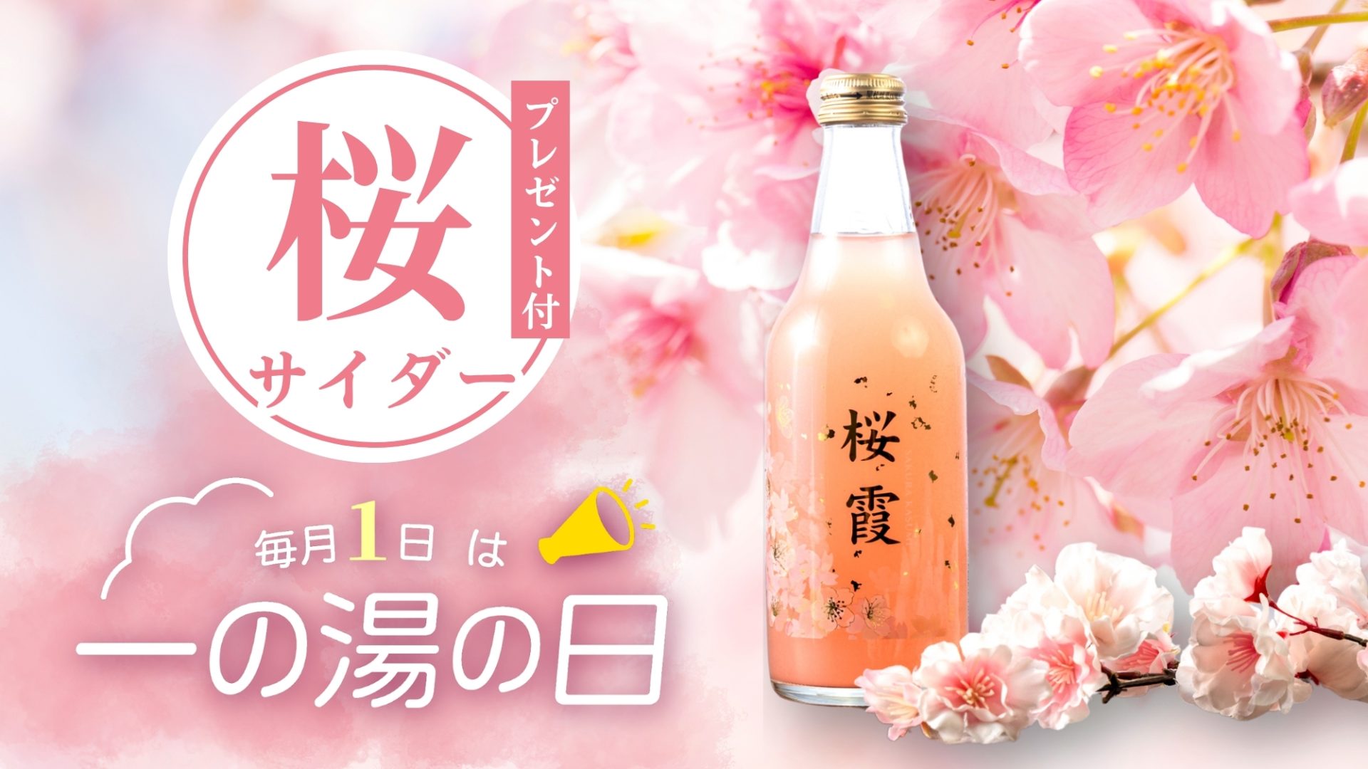 キャンペーン情報