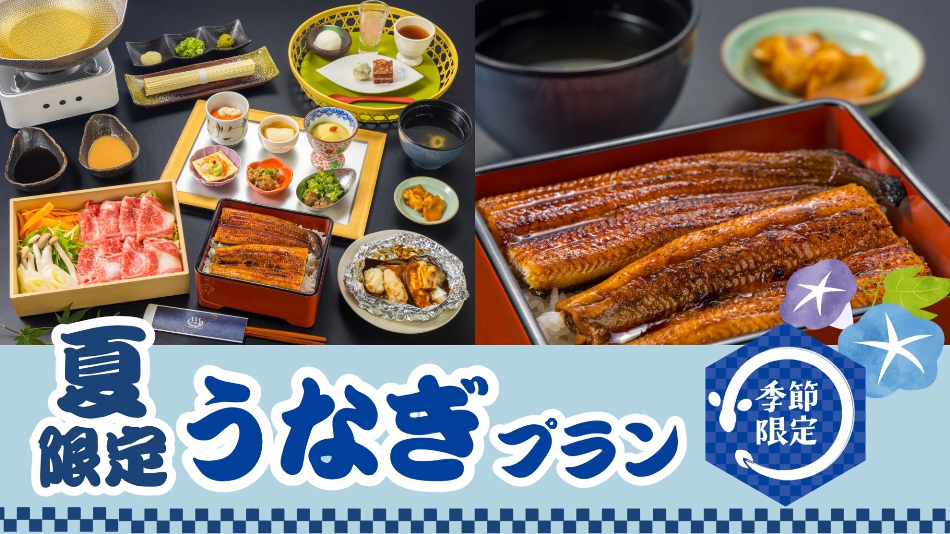 キャンペーン情報