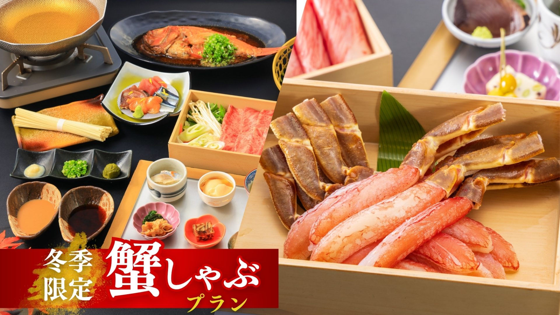 キャンペーン情報